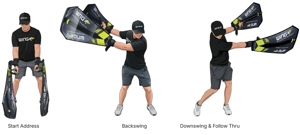 golf-exercises WINGX Exercises for Golfers
